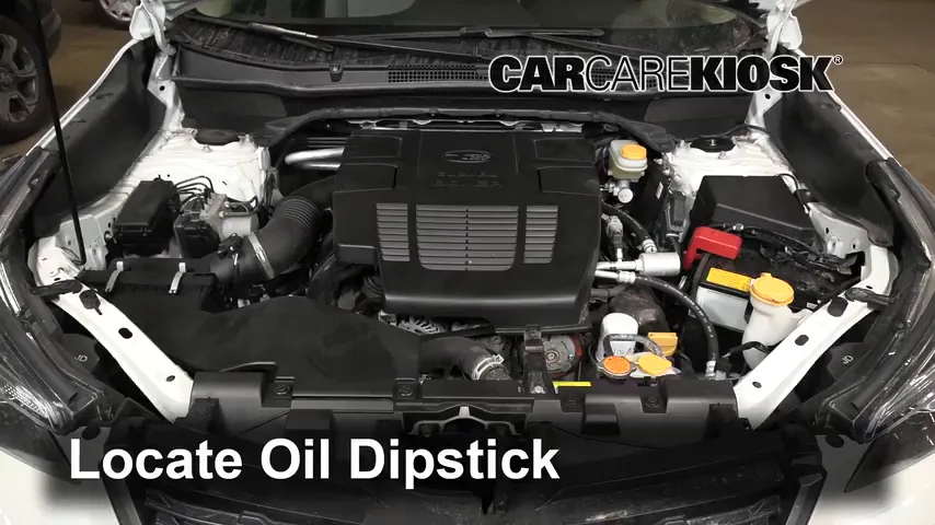 2019 Subaru Forester Premium 2.5L 4 Cyl. Oil Check Oil Level